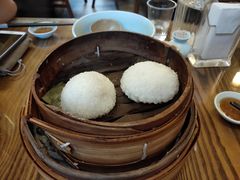 茨毛圆子-双塔老饭店