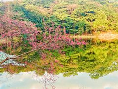 -广州市石门国家森林公园