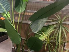 -湊湊火锅·茶憩(皇姑万象汇店)