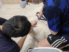 -申普宠物医院·眼科·心内科·影像科(普陀分院)