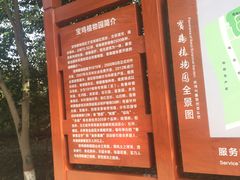 -宝鸡植物园