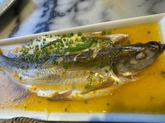 -京城小江南·北京烤鸭·江南土菜·白鱼(中关村店)