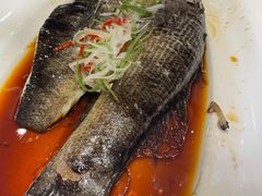 清蒸竹笋壳鱼-姜君·千岛湖鱼头馆(浦东大道店)
