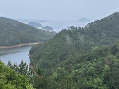 -浔味·山屿湖·正宗淳牌全鱼宴老字号