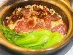 -熠盛粤味·顺德桑拿鸡(永康路店)