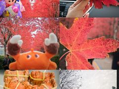 -阳澄湖半岛旅游度假区
