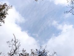 -竹子庵公园