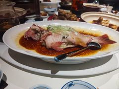 -侨美·唐荔园·40年地道粤菜