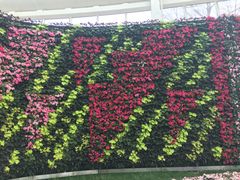 -石家庄市植物园