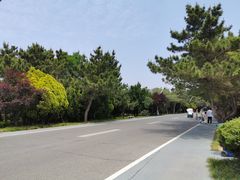 -日照海滨国家森林公园