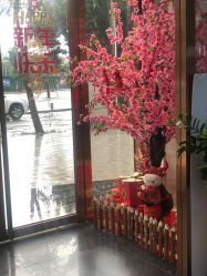 -比华利美容医院