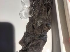 -海底捞火锅(威高广场店)