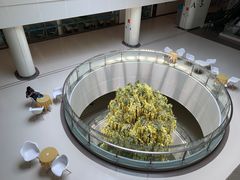 -南方医科大学深圳医院