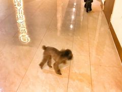 -海底捞火锅(奉化银泰店)