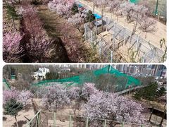 -青藏高原野生动物园