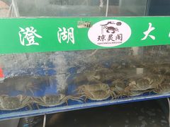 -阳澄湖大闸蟹·琼灵阁牌品牌连锁(吴中总店)
