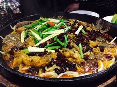 -老板恋上鱼(恒隆广场店)