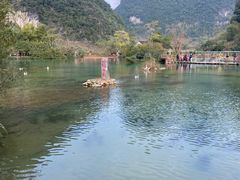 -靖西鹅泉风景区