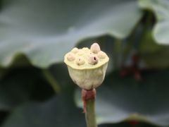 -白鹭湾湿地公园