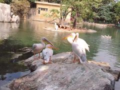 -昆明动物园