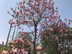 -浙江大学医学院附属邵逸夫医院(钱塘院区)
