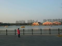 公园内-上海长兴岛郊野公园