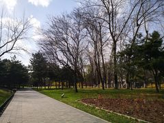 -元大都城垣遗址公园