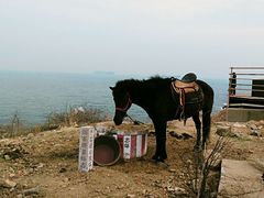 -青岛第二海水浴场