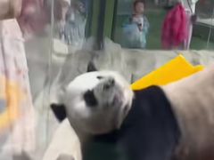 -栾川竹海野生动物园