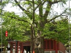 -红螺寺