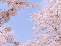 -上海辰山植物园