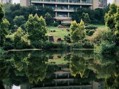 -张坝桂圆林公园