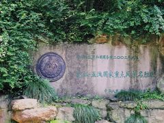 景点-五泄景区