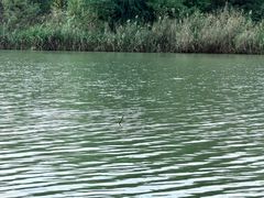 -长广溪湿地公园