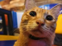 -Doors独立剧情密室(东门分店)