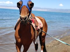 -青海湖国家重点风景名胜区