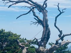 -华山风景名胜区