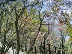 -秦岭终南山世界地质公园翠华山景区