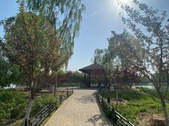 -大兴滨河森林公园