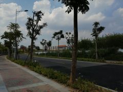 -灵玲国际马戏城