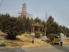 -祥源·阜阳生态乐园