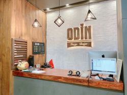 -ODIN 奥丁形象设计 