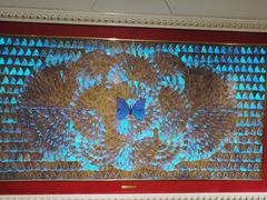 -上海昆虫博物馆