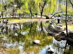 -东山植物园