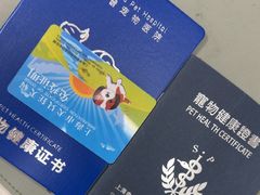 -申普宠物医院·心脏介入·心血管微创(总院)