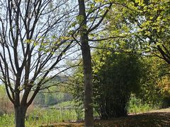 -梁鸿国家湿地公园