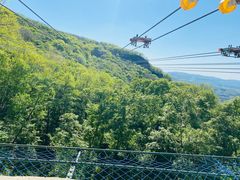 -香炉山国家森林公园