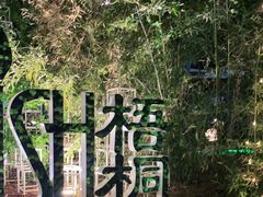 -梧桐