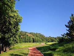 -棒棰岛宾馆景区