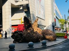 -杭州西湖银泰百货